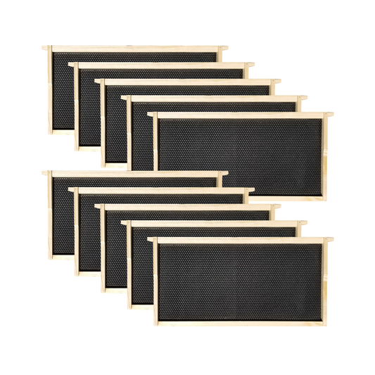 Fully assembled Galena Farms 10-frame beehive kit with painted deep box, frames, and wax-coated foundations for beekeeping.