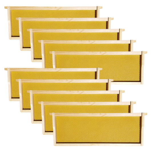 Galena Farms 8-frame medium honey super with assembled frames and wax-coated foundations for beekeeping hive expansion.