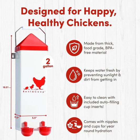 RentACoop 2-gallon highrise chicken waterer with auto-fill cups and horizontal nipples for easy, clean watering.