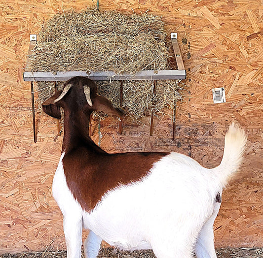 24-inch wall-mounted sheep and goat hay feeder made of durable aluminum, ideal for fences, stalls, and pens.