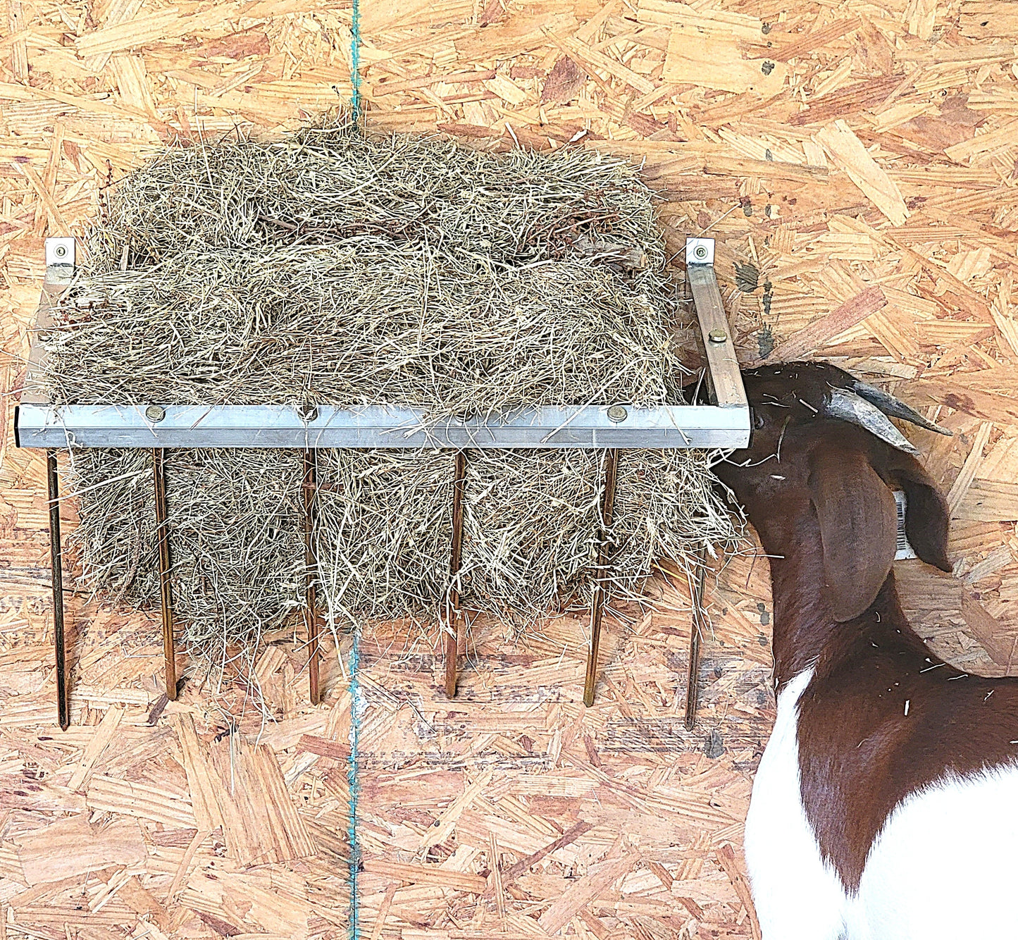24-inch wall-mounted sheep and goat hay feeder made of USA-made aluminum, designed for fences, stalls, and pens.