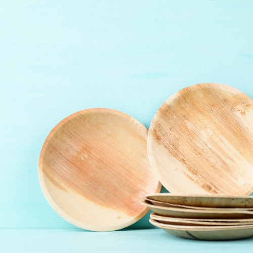 MicRic Palm Leaf 10-inch round plate showing eco-friendly design and natural palm leaf pattern for party or event use.