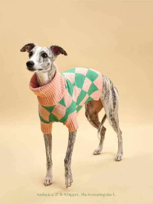BarkBarkBaby Sunday Brunch in Brooklyn sweater with colorful brunch print on soft knit fabric.