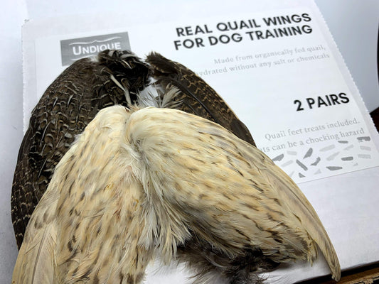 Pair of real quail wings for dog training, fresh and natural, from Quailz.com by Undique LLC, displayed on a white background.