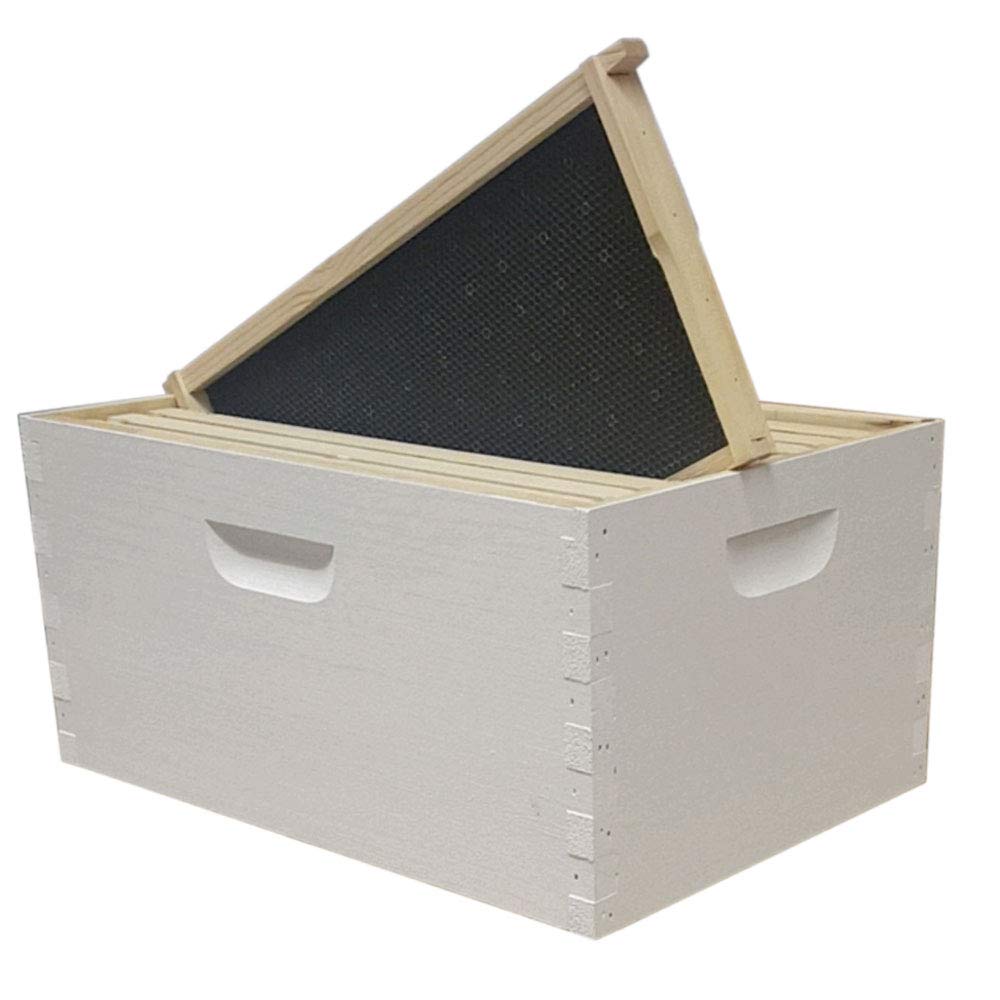 Amish-made white pine 8-frame Langstroth deep brood box for beekeeping, painted and assembled by Galena Farms.