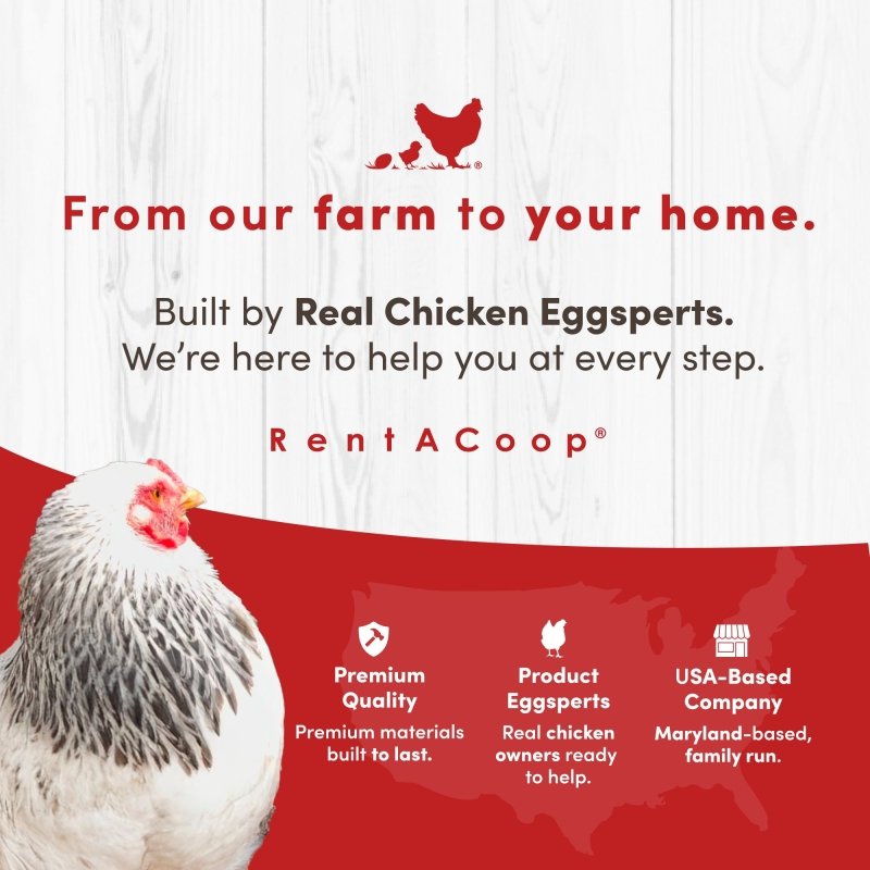 RentACoop black non-electric boundary fence for chicken coops, durable outdoor equipment for secure poultry containment