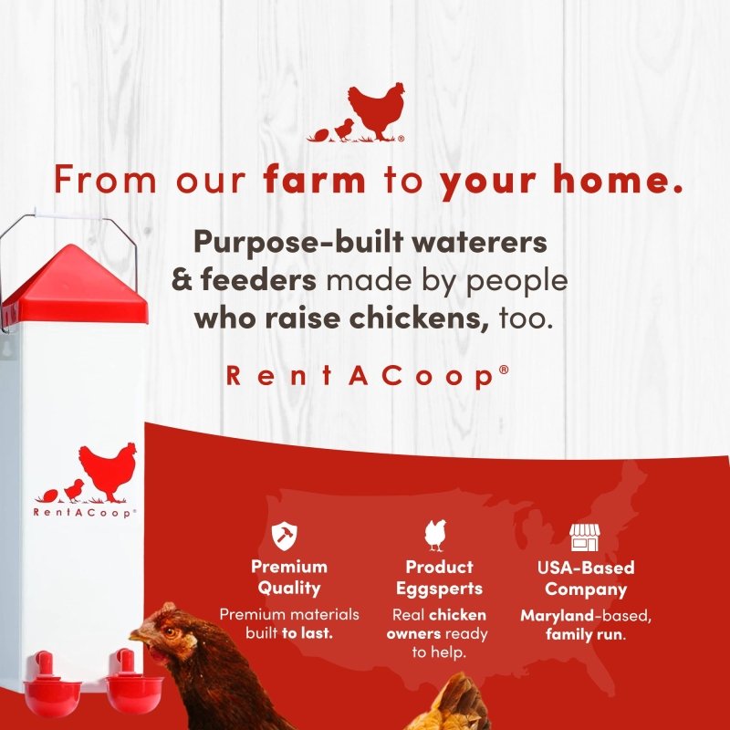 RentACoop 2-gallon high-rise chicken waterer with auto-fill cups and horizontal nipples for clean, convenient bird hydration.