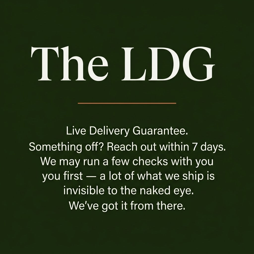 Green Lacewing Eggs