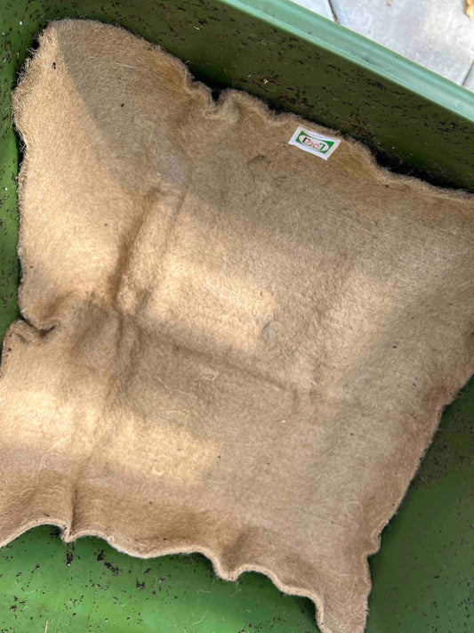 Meme's Worm Blanket (SC)