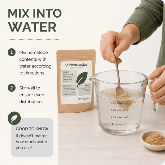 FGMN Nursery triple blend nematodes for broad-spectrum soil pest control, shown mixing in a container for treatment application.