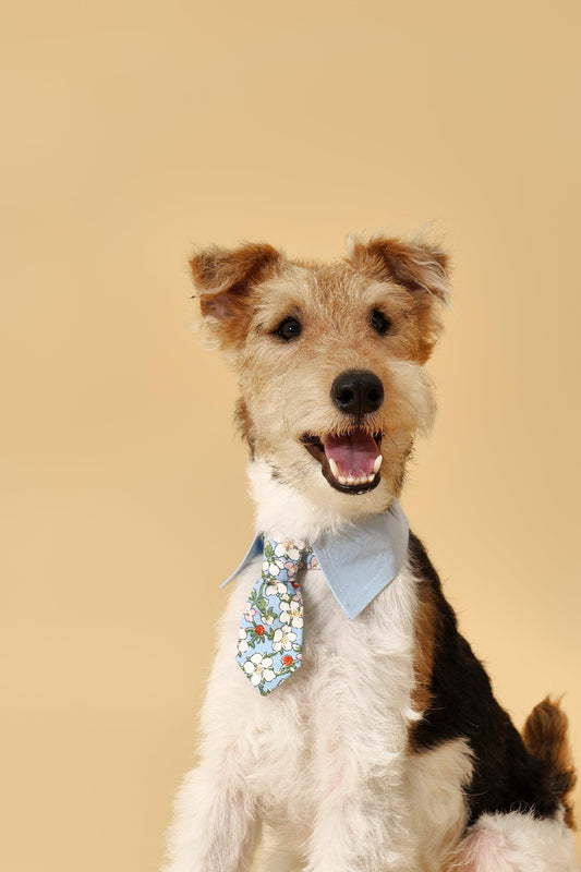 Blue Botanique BarkBarkBaby necktie bandana featuring a vibrant botanical print, styled as a fashionable accessory for pets.