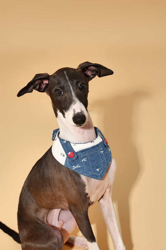 Reversible denim cherry pet bandana by BarkBarkBaby featuring a classic design, perfect for stylish dogs and cats.