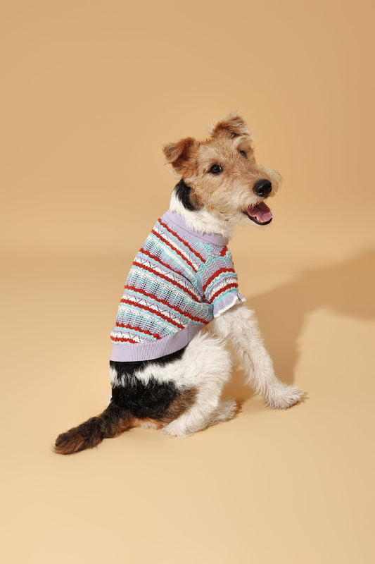 Pet & Me lavender crochet polo sweater with ruffle short sleeves for pets, featuring a spring-summer floral design by BarkBarkBaby.