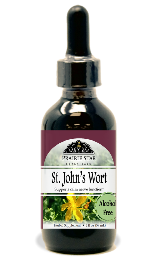 Prairie Star Botanicals St. John's Wort singles in a glass jar, showing vibrant yellow flowers and green leaves.