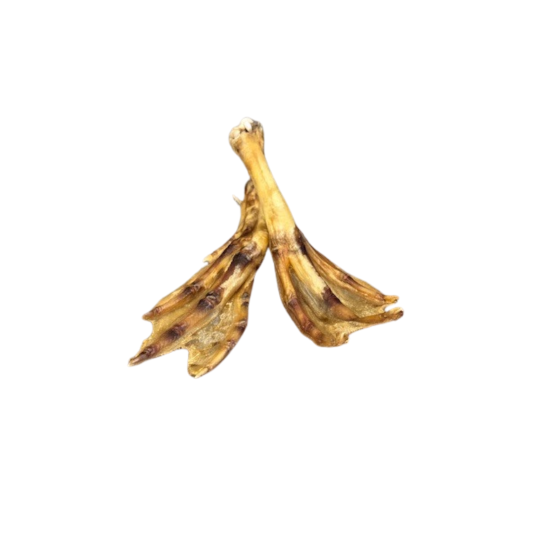 Dehydrated duck feet treat for dogs, single ingredient snack by Bear's Bites, showing the crispy, natural duck feet.