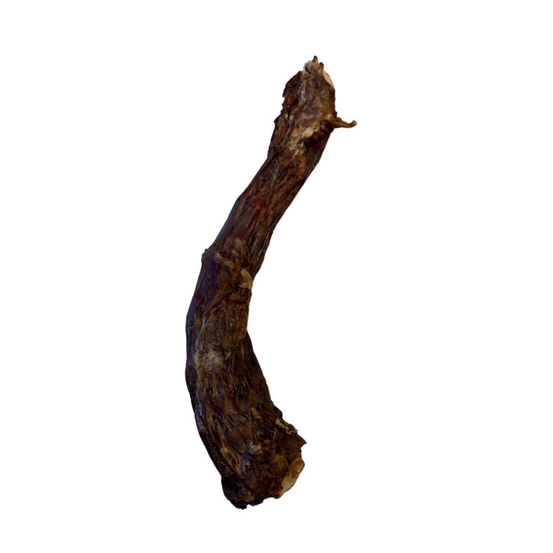 Dehydrated turkey neck dog treat from Bear's Bites, all-natural single ingredient chew for dogs, shown in close-up.