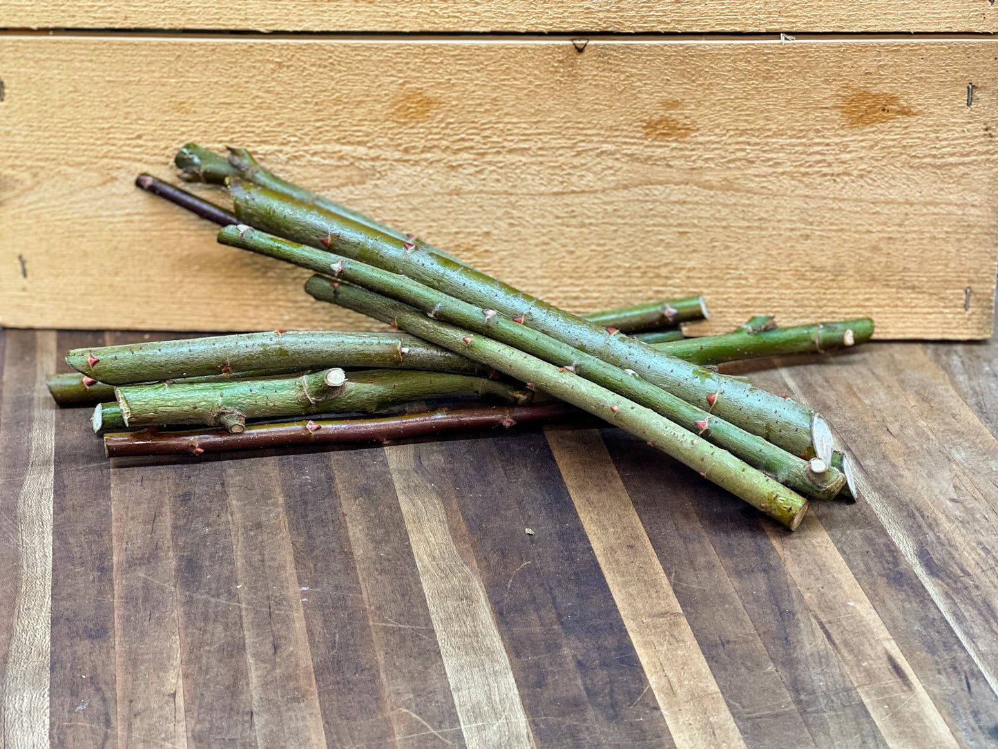Willow branches bundled together, ideal for pollinators, from The Farm On Central's Willows for Pollinators Mix, 20-count.