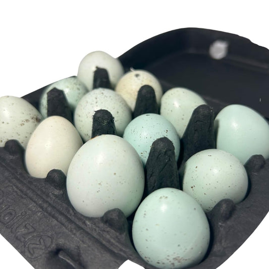 Set of 10 hollowed celadon quail eggs for crafts, natural eggs with a smooth green glaze, ideal for DIY craft projects