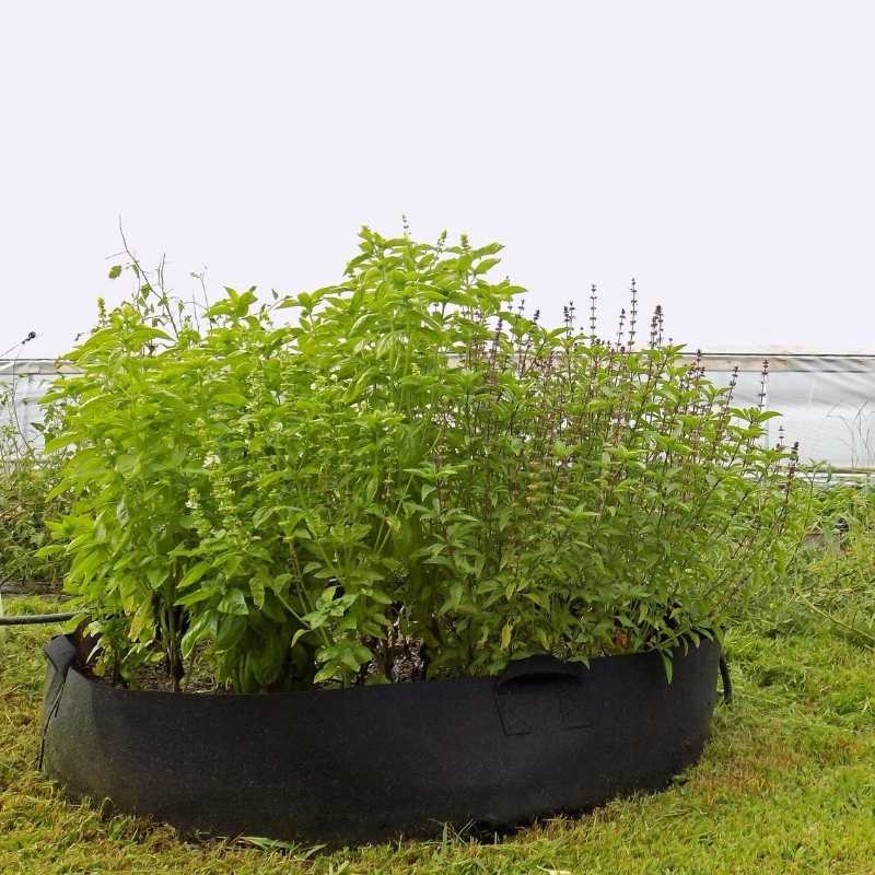 Large 100-gallon Bootstrap Farmer grow bags for gardening and planting, made from durable, breathable material.