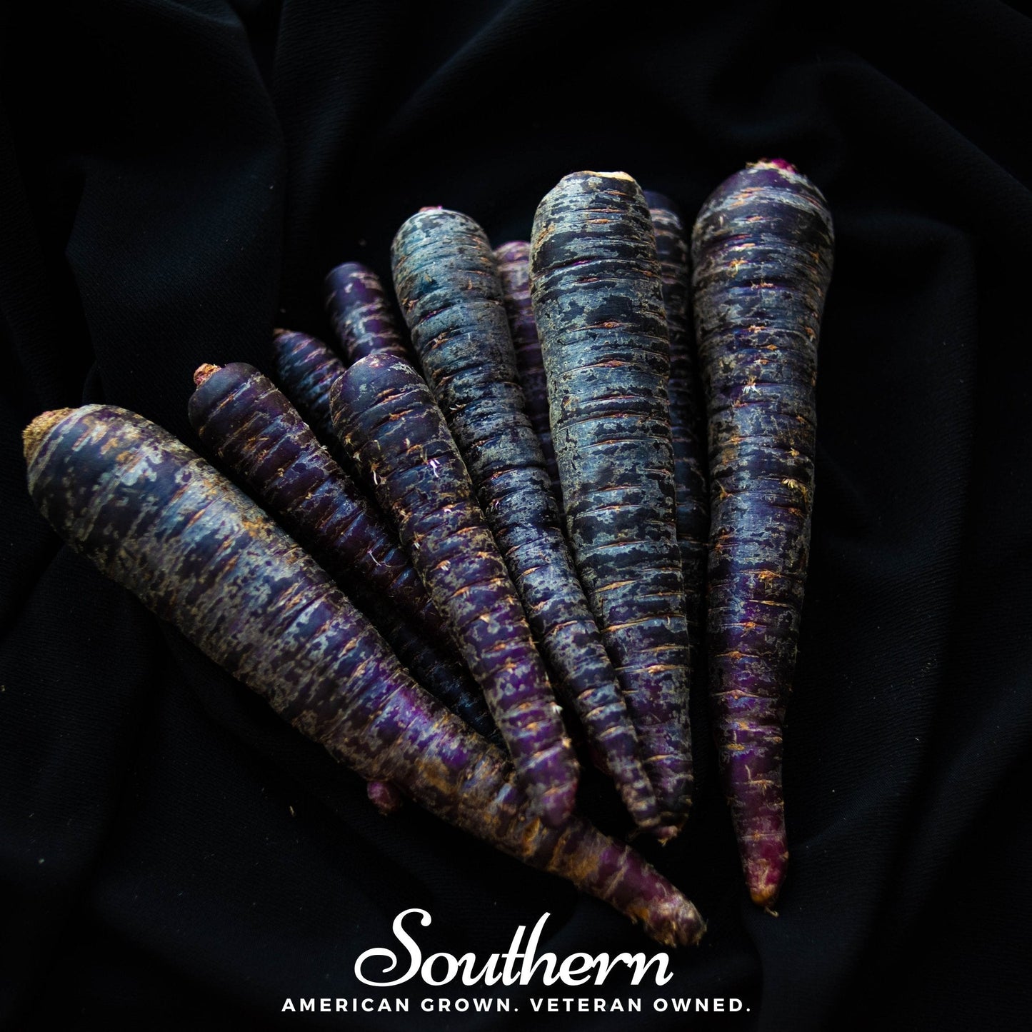 Cosmic Purple Carrot seeds from Southern Seeds, showing vibrant purple carrot bulbs and green leafy tops.