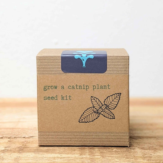 Plantflix Catnip Beginner Grow Kit with herb seeds for easy indoor gardening and fresh catnip for pets.