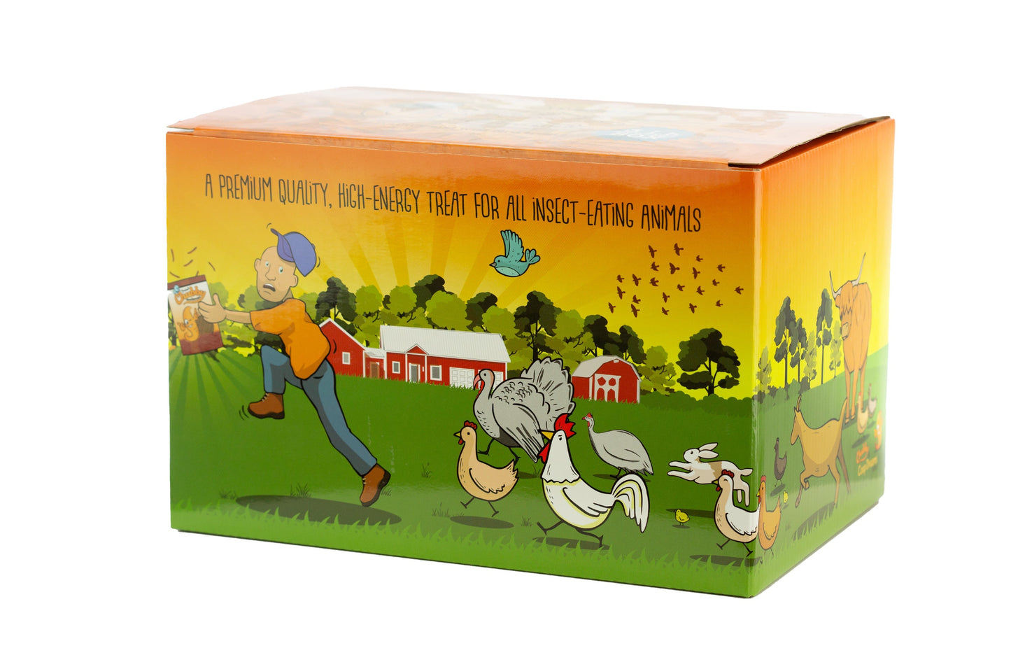 Chubby Mealworms USA 3Lb Dried Mealworms in a Coop Dreams Limited Edition box, shown in a clear container with dried mealworms inside.