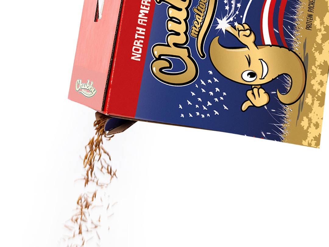 20Lbs Chubby North American Grown Dried Mealworms in recyclable boxes, non-GMO, from Chubby Mealworms USA, Montreal grown.
