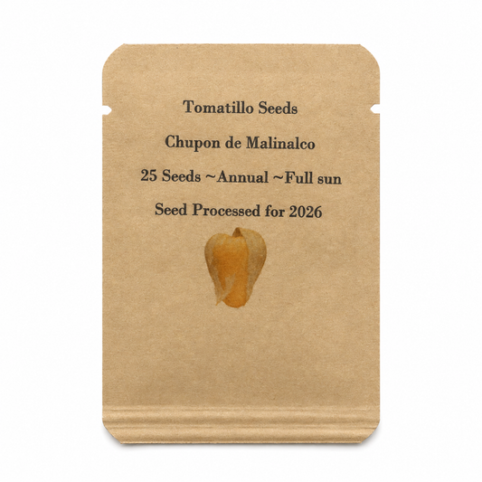 Chupon de Malinalco Tomatillo Seeds – 25 Seeds, Heirloom Mexican Variety, Salsa & Fresh Eating