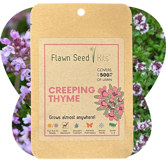 Creeping thyme seed pouch from Flawn Seed Kits, 1000 seeds of creeping thyme in seed tape for garden planting