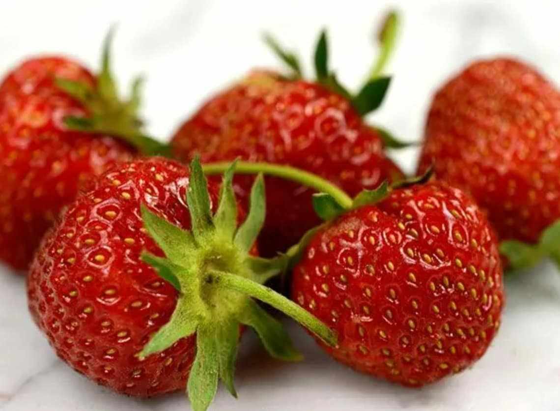 Old North Sea Strawberry plant by Florida Plants Nursery, lush green leaves and ripe strawberries on the plant.