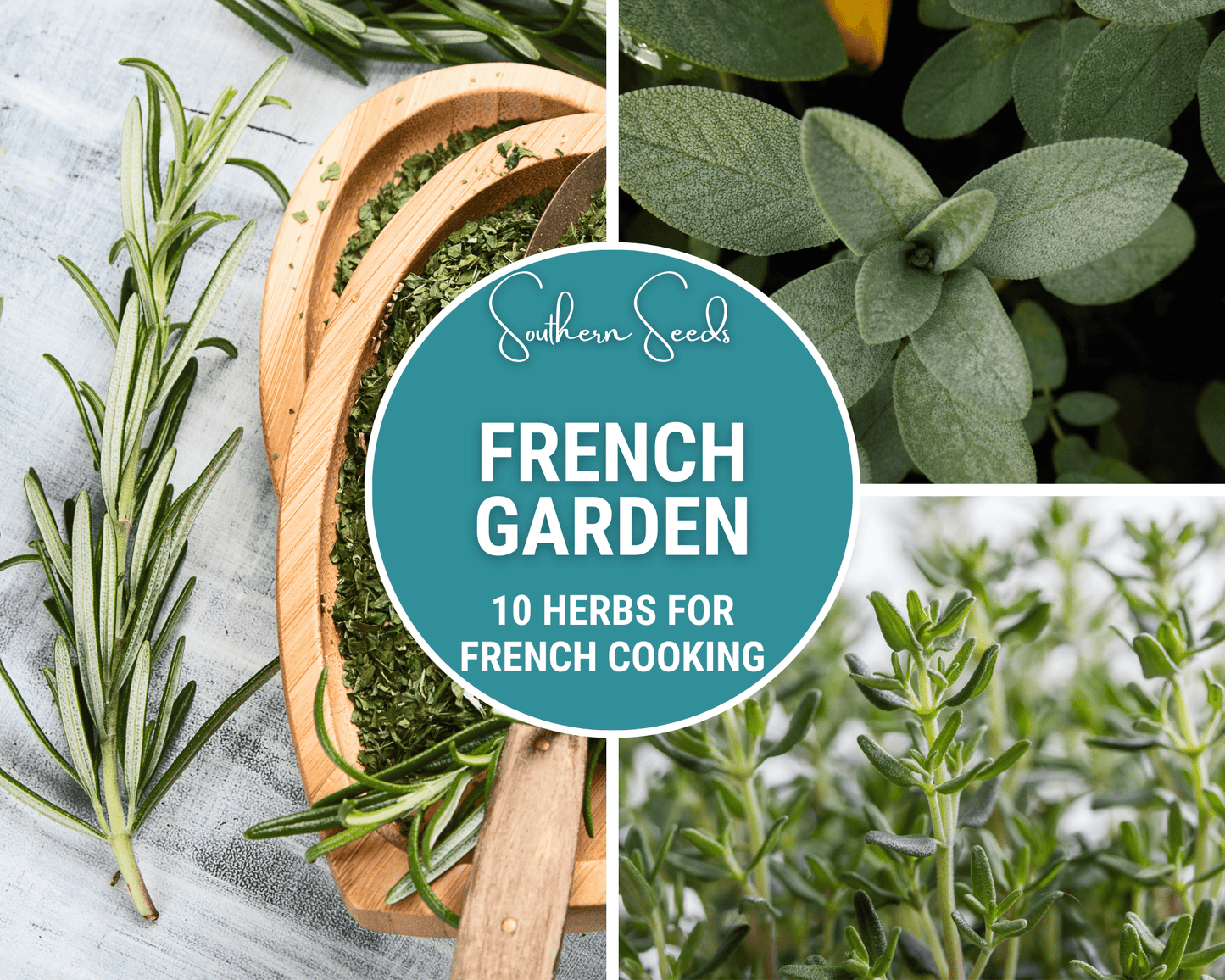 French Garden Seed Collection with 10 varieties of seeds from Southern Seeds, featuring colorful packets and garden-friendly seed types.