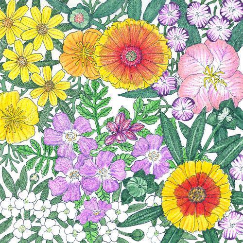 Grow Organic California Central Valley Wildflower Mix flower seed packet, 1/4 lb, featuring colorful native wildflower seeds.