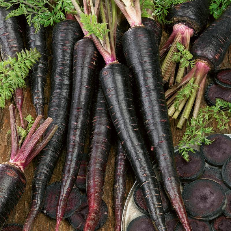 Organic Black Nebula Carrot Seeds by Grow Organic, packaged vegetable seeds for growing vibrant, dark-skinned carrots.