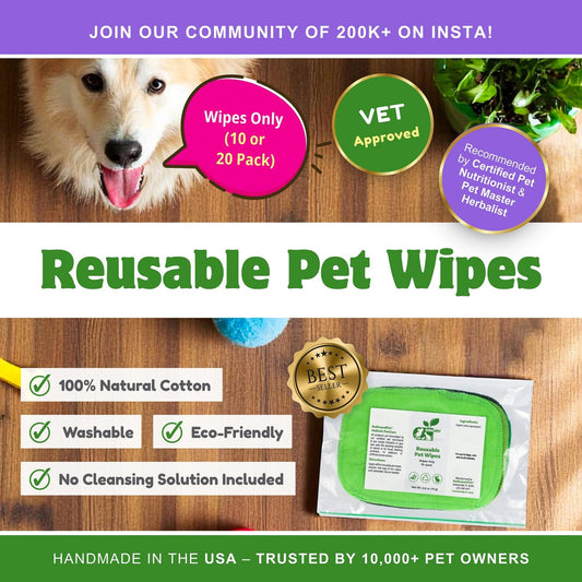 Reusable pet wipes from ReNewedPet for grooming, shown beside a clean, fluffy dog, perfect for quick and gentle pet cleaning.