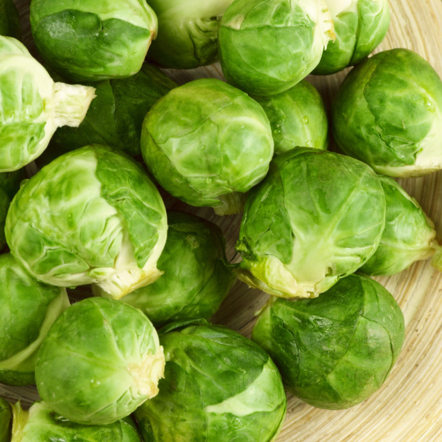 Close-up of fresh Catskill Brussel Sprouts from MIgardener, showcasing their green, leafy appearance on a white background.