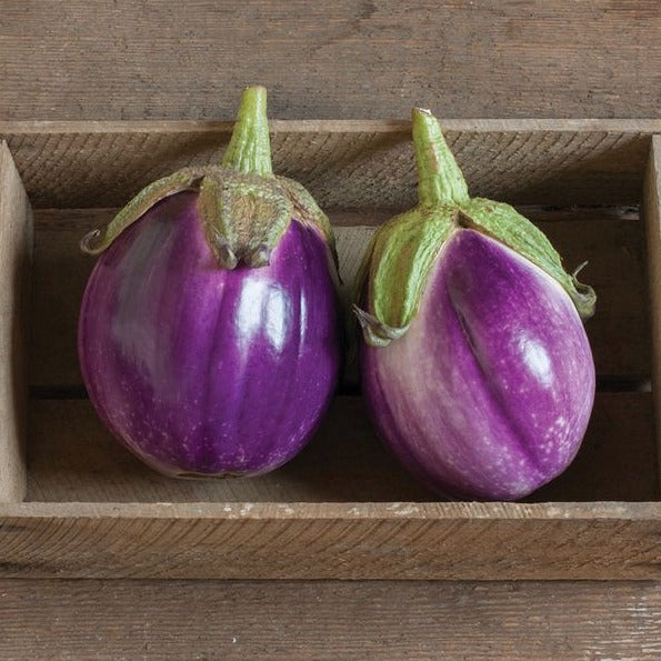 Fresh Rosa Bianca eggplant from MIgardener, with glossy purple and white skin, oval shape, and vibrant green stem.