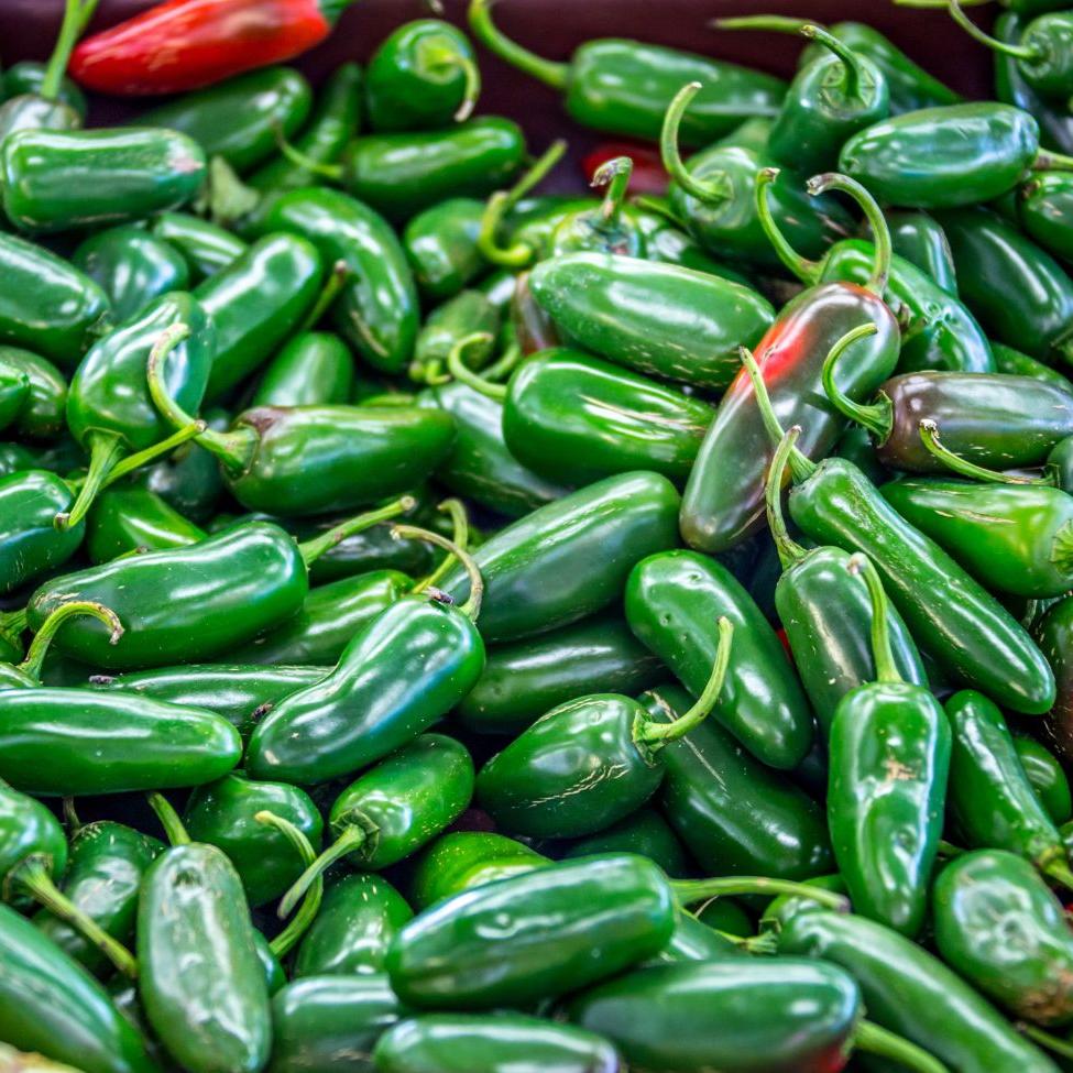 Fresh Nadapeno pepper from MIgardener, vibrant green chili pepper with smooth skin and a slightly curved shape.
