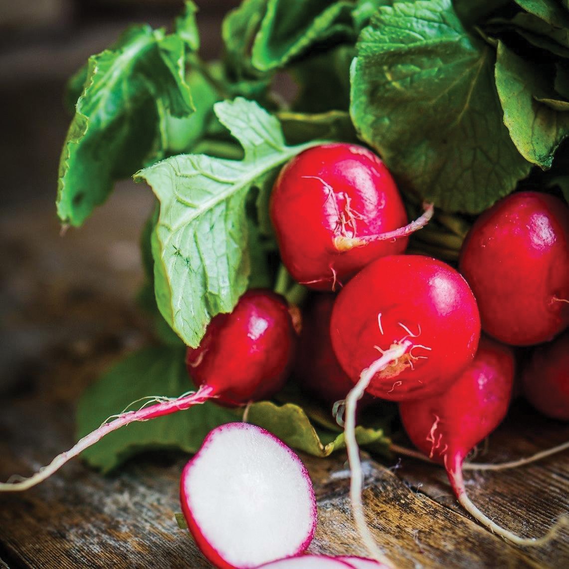 Fresh Cherry Belle Radish from MIgardener, showcasing vibrant red and white root with green leafy tops.