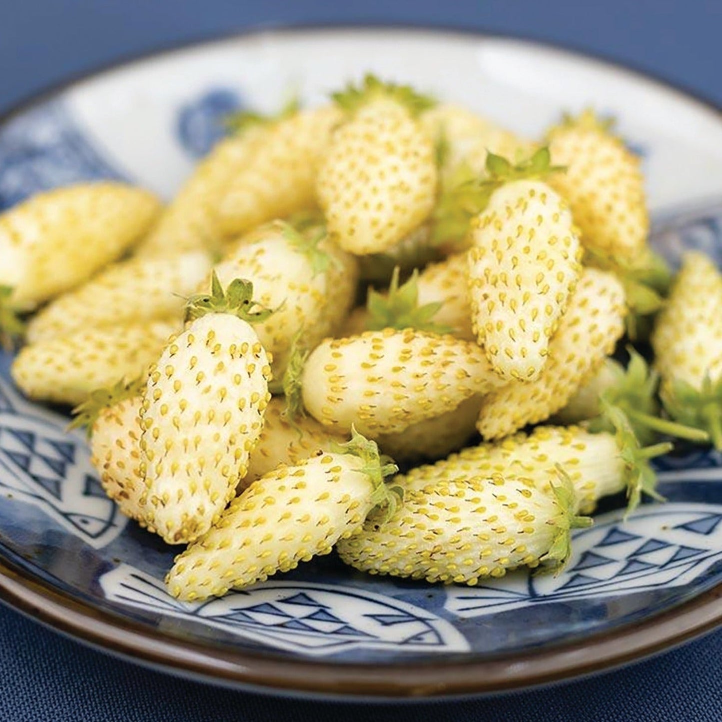 Yellow Wonder Strawberry Everbearing seeds from MIgardener, showing vibrant yellow strawberry fruit and green foliage.
