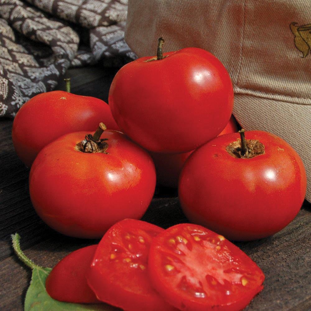 Red Crimson Sprinter Tomato from MIgardener, showcasing ripe, vibrant tomatoes on the vine.