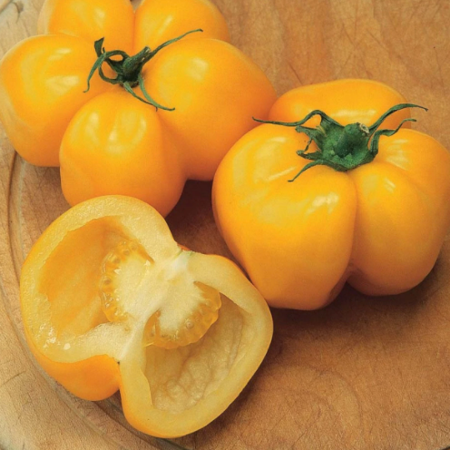 Yellow Stuffer Tomato from MIgardener, showcasing ripe, yellow, elongated tomato with smooth skin and plump appearance.