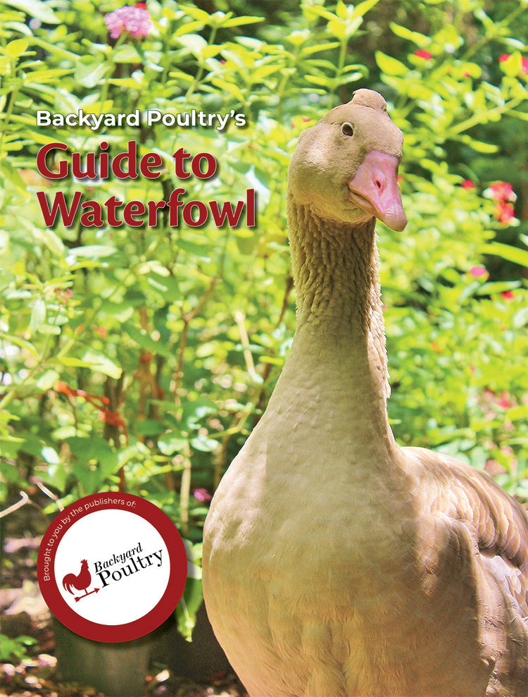 Book cover titled "Backyard Poultry's Guide to Waterfowl" by Mother Earth News, featuring waterfowl illustrations and informative text.