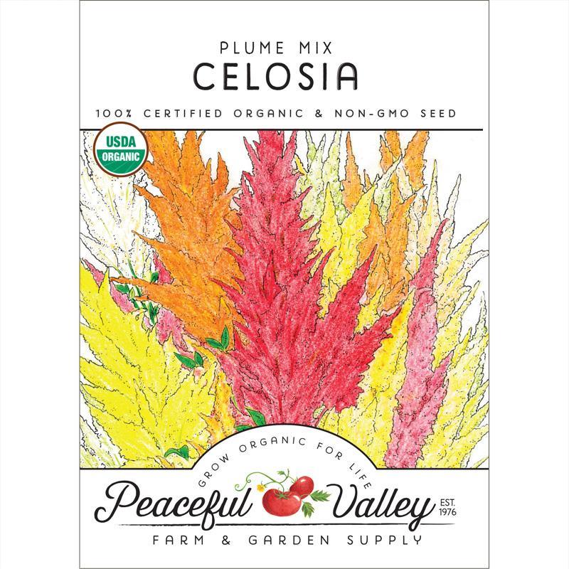 Organic Plume Celosia Mix flower seeds in a pack, showcasing vibrant, colorful blooms for garden planting by Grow Organic.