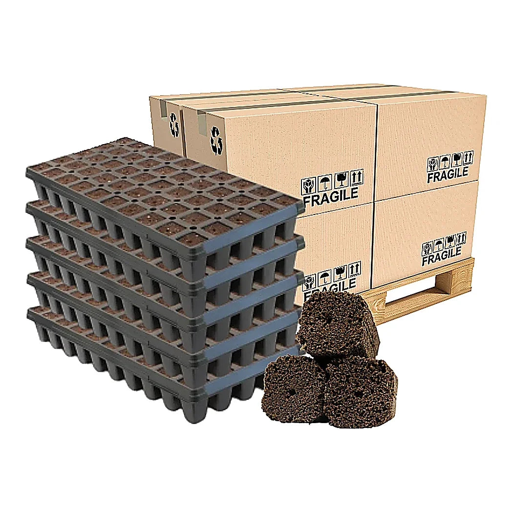 GrowersHouse OrganiPlug seed and cutting plugs in a tall pallet tray, pre-filled with 50 durable, ready-to-use planting plugs.