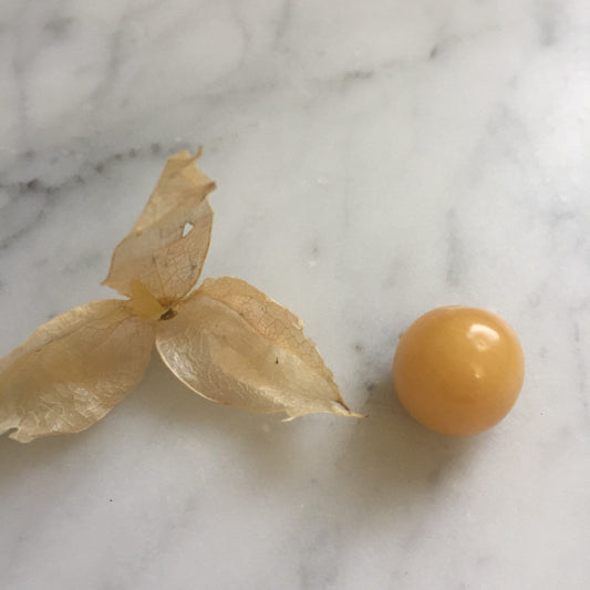 Pineapple Ground Cherry seeds from Steep Hill Garden, heirloom husk cherry with tropical sweetness, shown in the image.