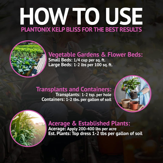 Plantonix Kelp Bliss fertilizer in a 1 lb bag, a natural kelp soil amendment and fertilizer for healthy plant growth.