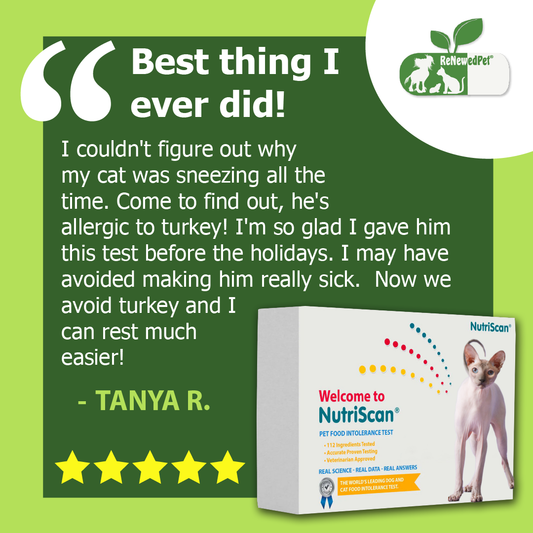 ReNewedPet cat food allergy and sensitivity test kit, health product for detecting food allergies in cats.