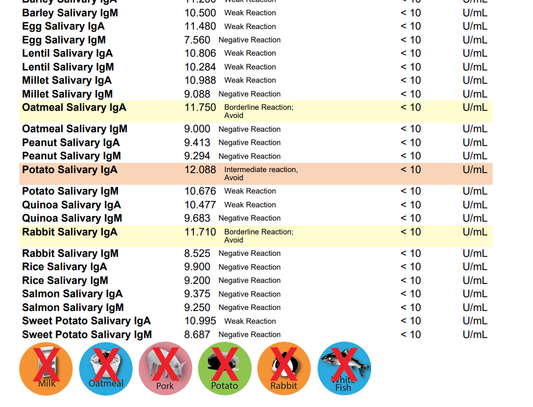 ReNewedPet dog food allergy and sensitivity test kit in a box with testing materials for pet health assessment