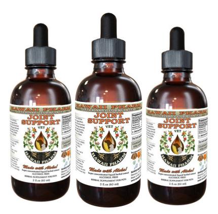 ReNewedPet joint health supplement for cats in a single bottle, supporting joint support and mobility.