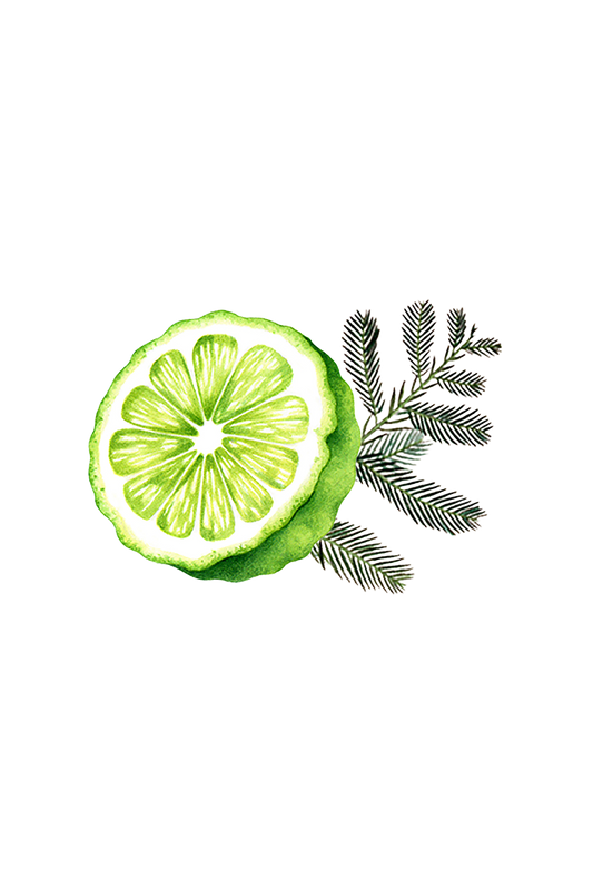 Rustic Strength Lots of Purpose Spray Cleaner with bergamot and cypress scent in 16 oz plastic bottle, multi-purpose cleaning product.